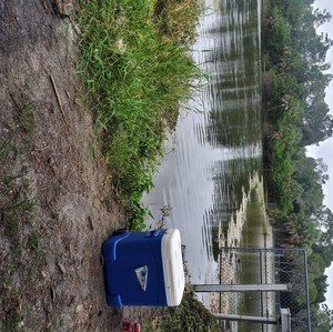 Meet your Posher, Bridgett